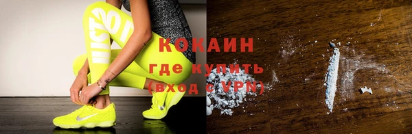 дживик Сосновка