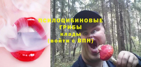 стаф Слюдянка