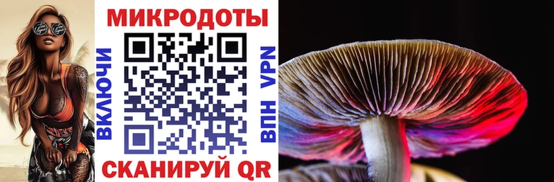 где найти наркотики  Александров  Псилоцибиновые грибы ЛСД 