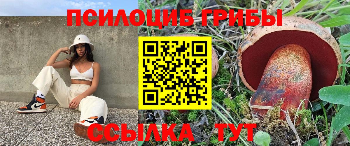 Александров  Псилоцибиновые грибы мицелий  Вход с VPN 
