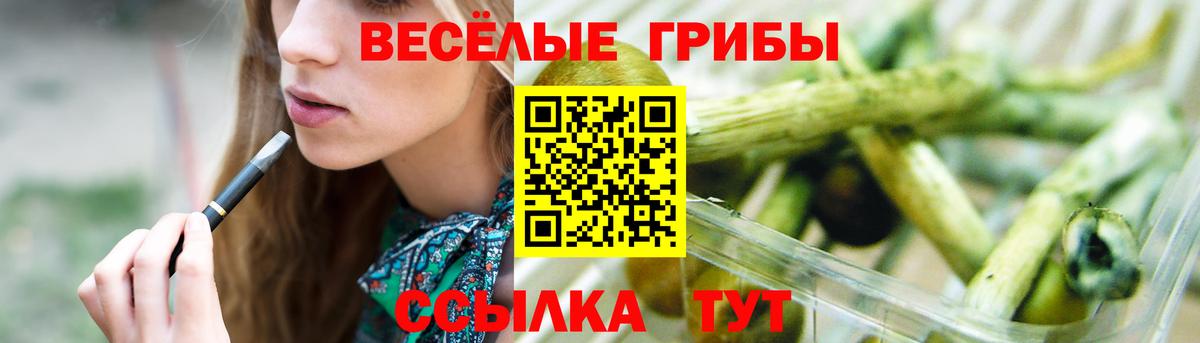 Псилоцибиновые грибы ЛСД Александров
