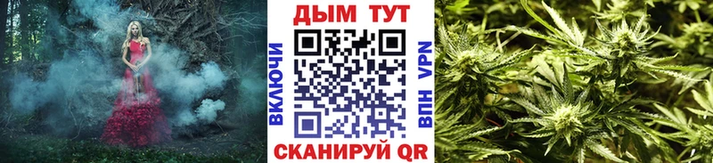 МАРИХУАНА SATIVA & INDICA  Александров 